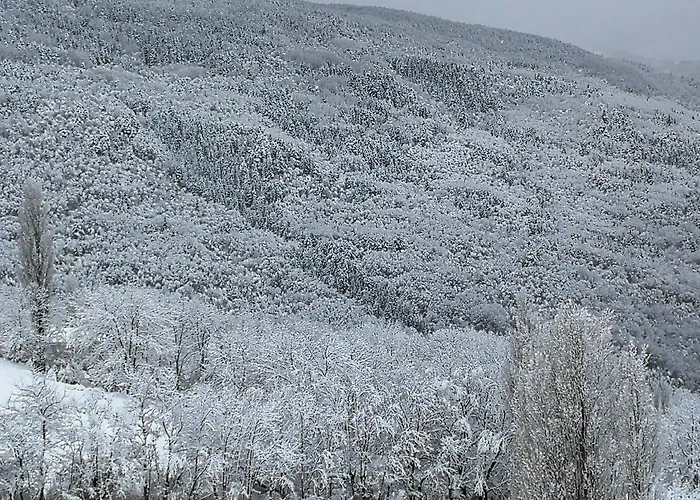Casa rural Borda Marianet Cerler