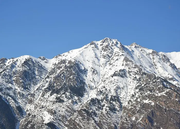 Borda Marianet Cerler