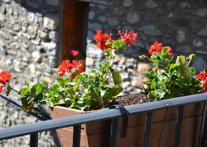 Borda Marianet Casa rural *